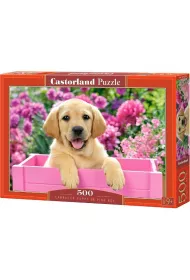 Puzzle 500 el. Labrador Puppy in Pink Box Castorland