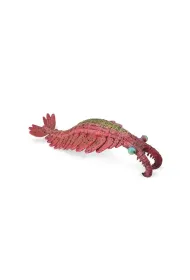 Anomalocaris