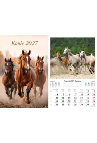 Kalendarz 2027 �cienny 13-k Konie