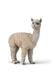 Alpaka