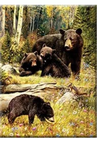 Norimpex Diamentowa mozaika - Nied�wiedzie na polanie 40x30cm