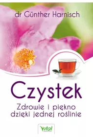 Czystek