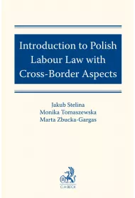 eBook Introduction to Polish Labour Law with Cross-Border Aspects pdf