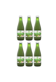 Bio Food Sok z og�rk�w kiszonych Zestaw 6 x 300 ml Bio