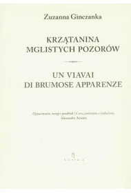 Krz�tanina mglistych pozor�w