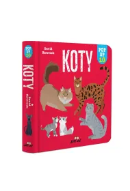Koty. POP-UP 10