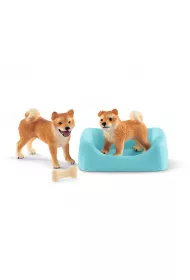 Shiba Inu matka i szczeni�ta