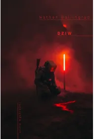 Dziw