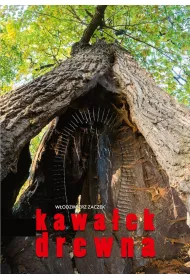 Kawa�ek drewna