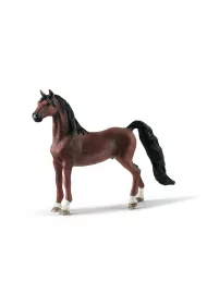 Wa�ach rasy Saddlebred