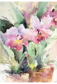 DaVinci Karnet B-BJ 202 388 + koperta R�owa r�a 12x18 cm