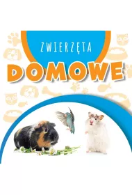 Wst�gi kartonowe - Zwierz�ta domowe