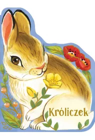 Kroliczek