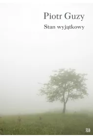 Stan wyjtkowy