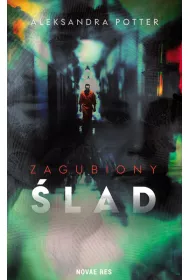 Zagubiony lad