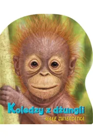 Koledzy z d�ungli. Ma�e zwierz�tka