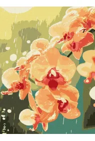 Ideyka Malowanie po numerach - Orchidea w kroplach 30x40cm