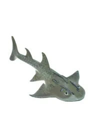 Rekin Bowmouth Guitarfish