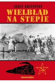 Wielb��d na stepie