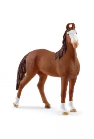 Klacz Marwari Horse Club SLH14897