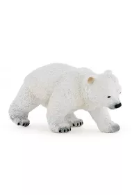 Nied�wied� polarny m�ody