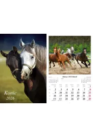 Kalendarz �cienny 2026 Konie