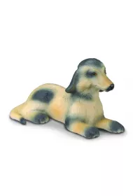 Collecta szczeni� charta Afga�skiego