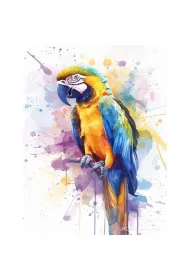Koh-I-Noor Malowanie po numerach - Papuga 40x50cm