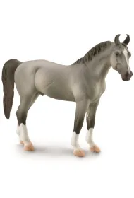 Ko� Marwari Stallion szary