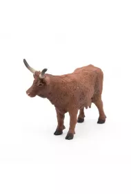 Krowa Salers