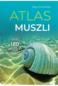 Atlas muszli. Opisy 180 gatunkw