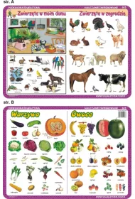 Visual System Podk�adka edukacyjna. Warzywa, owoce, zwierz�ta