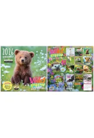 Kukartka Kalendarz Classic Q WILD PUPPIES 2026
