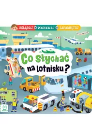 Co s�ycha� na lotnisku? Ogl�daj, poznawaj, zapami�tuj