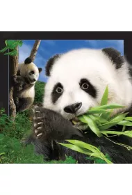 Worth Keeping Magnes 3D Panda