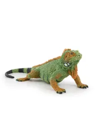 Iguana