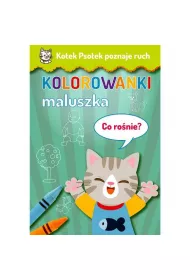 Malowanka A4 Kotek Psotek Co ro�nie?
