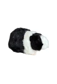 �winka morska czarno-bia�a 20cm Dubi