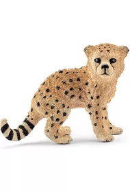 M�ody Gepard
