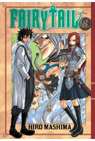 Fairy Tail. Tom 3