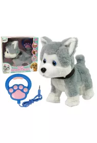 Husky interaktywny