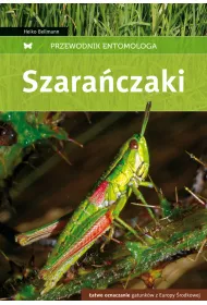 Przewodnik entomologa. Szaraczaki