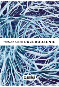 Przebudzenie