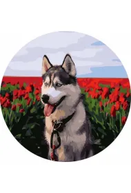 Twoje Hobby Malowanie po numerach okr�g�e - Husky tulipany 40cm
