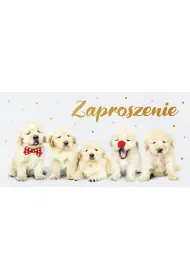 AbCard Zaproszenie Dzieci�ce Z139 (5 szt)