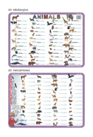 Visual System Podk�adka edukacyjna 04. Animals - j�zyk angielski