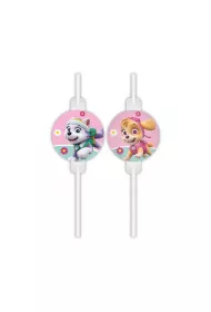 Psi Patrol S�omki papierowe z medalionem Paw Patrol Skye & Everest 4 szt.