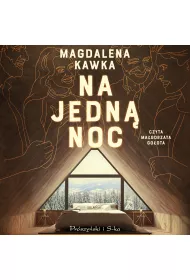 Audiobook Na jedn noc mp3