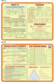 Visual System Podkadka edukacyjna. Procent, potgowanie