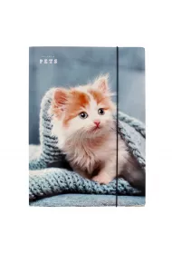 Pan Dragon Teczka z gumk� A4 Pets NR22 P-DR 970387